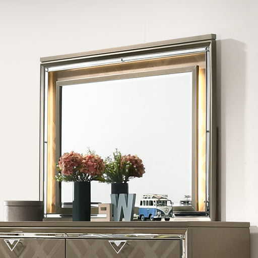 Mirror w/LED