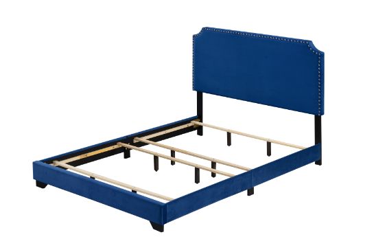 Queen Bed