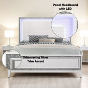 Queen Bed w/LED