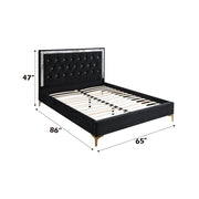 Queen Bed