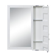 Vanity Mirror