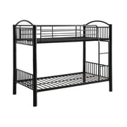 Bunk Bed (T/T)