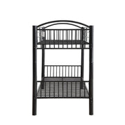 Bunk Bed (T/T)