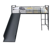 Twin Loft Bed w/Slide