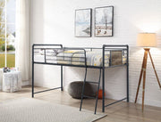 Twin Loft Bed w/Slide