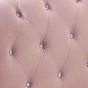 Daybed w/Trundle (Twin)
