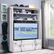 Bookcase w/Ladder