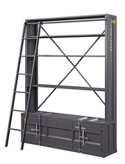 Bookcase w/Ladder