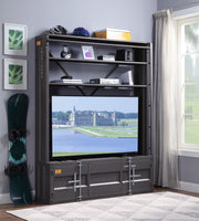 Bookcase w/Ladder