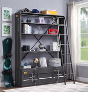 Bookcase w/Ladder