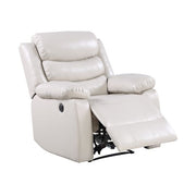 Power Motion Recliner