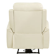 Power Motion Recliner