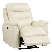 Power Motion Recliner