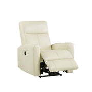 Power Motion Recliner