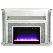 Fireplace w/LED