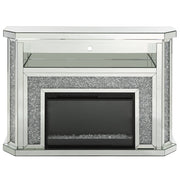 Fireplace w/LED