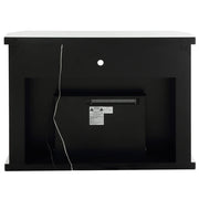 Fireplace w/LED