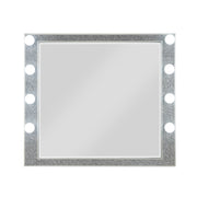 Mirror w/Light