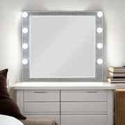 Mirror w/Light