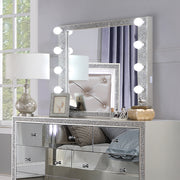 Mirror w/Light