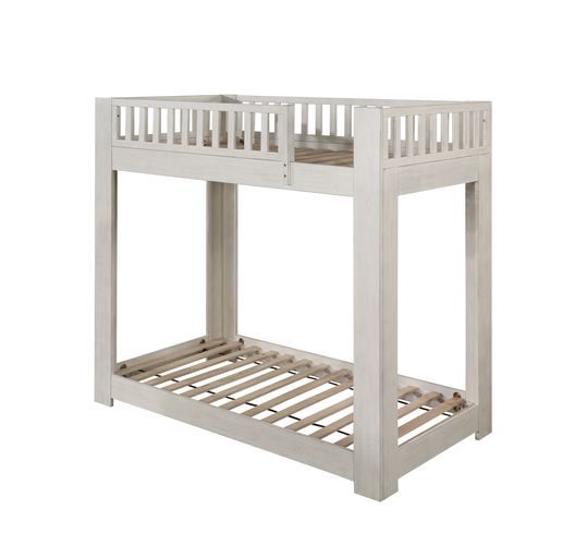 Bunk Bed (T/T)