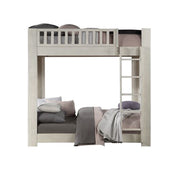 Bunk Bed (T/T)