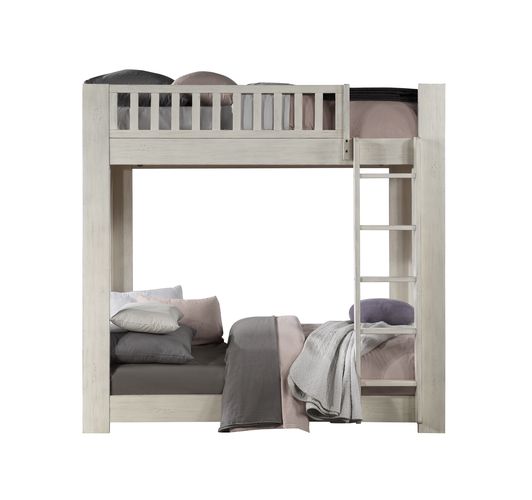 Bunk Bed (T/T)