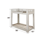 Bunk Bed (T/T)