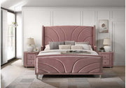 Queen Bed