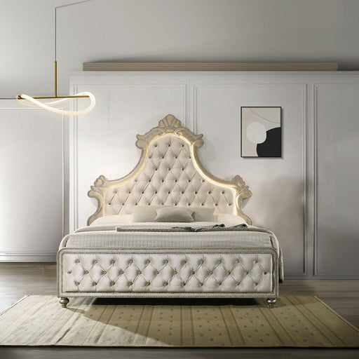 Queen Bed w/LED