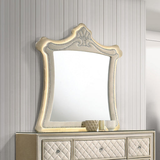 Mirror w/LED