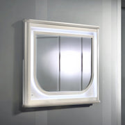 Mirror w/LED