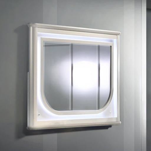 Mirror w/LED