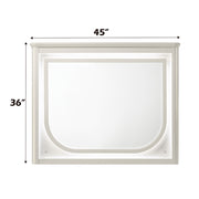 Mirror w/LED