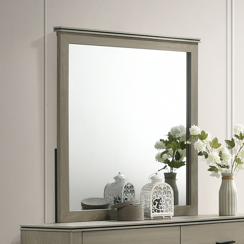 Mirror