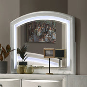 Mirror w/LED