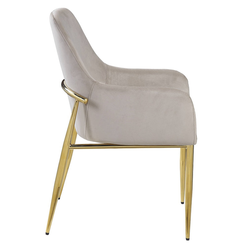 Side Chair (Set-2)