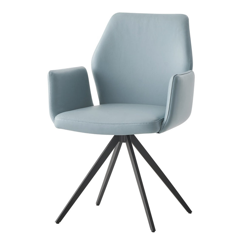 Arm Chair w/Swivel