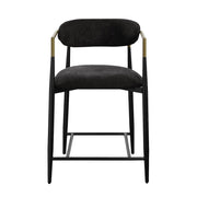 Counter Height Chair (Set-2)