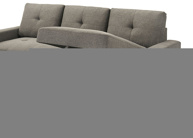 Giorgi Sectional w/ Pullout