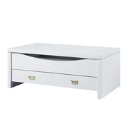 Coffee Table w/Lift Top
