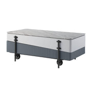 Coffee Table w/Lift Top
