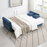 Sofa w/Sleeper, Storage & 2 Pillows
