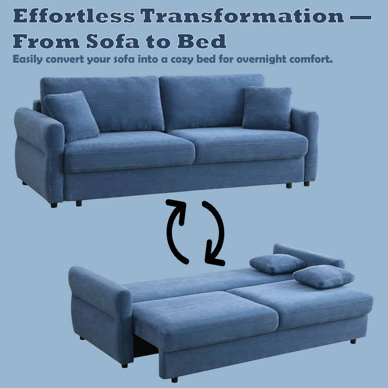 Sofa w/Sleeper, Storage & 2 Pillows