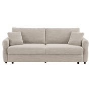 Sofa w/Sleeper, Storage & 2 Pillows