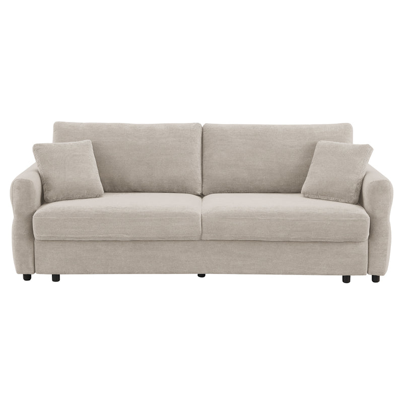 Sofa w/Sleeper, Storage & 2 Pillows