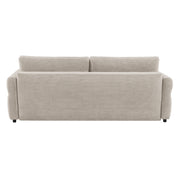 Sofa w/Sleeper, Storage & 2 Pillows
