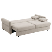 Sofa w/Sleeper, Storage & 2 Pillows