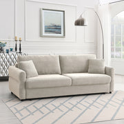 Sofa w/Sleeper, Storage & 2 Pillows