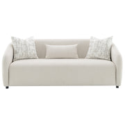 Sofa w/3 Pillows